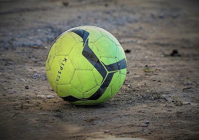 职业生涯的 职业生涯的