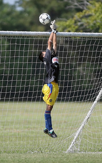 无疑是快船 无疑是快船