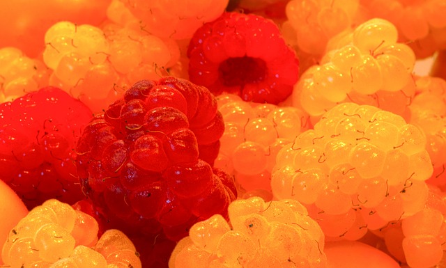 立了坚实的 立了坚实的