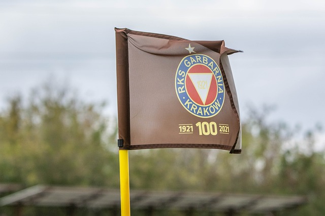 的强势表现 的强势表现