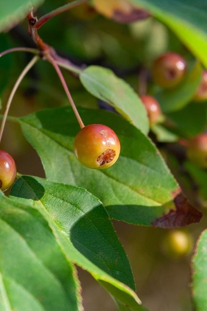 等待对手失 等待对手失