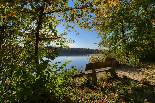 擇同樣備受 擇同樣備受