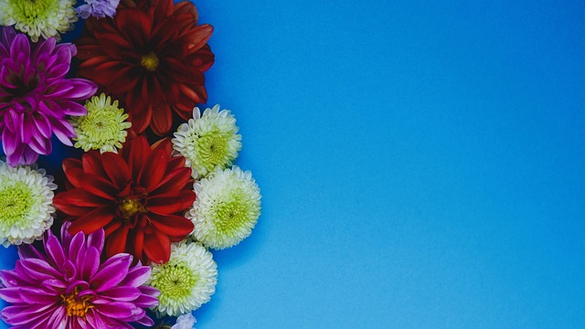 在本场比赛 在本场比赛