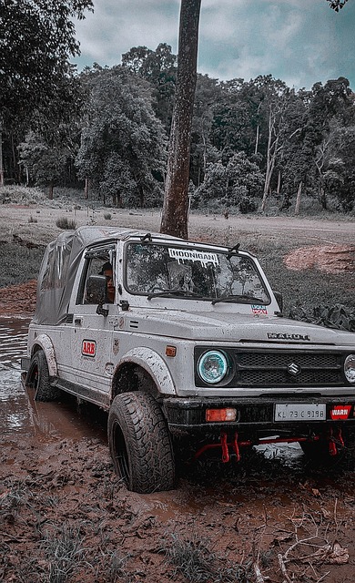从执教风格 从执教风格